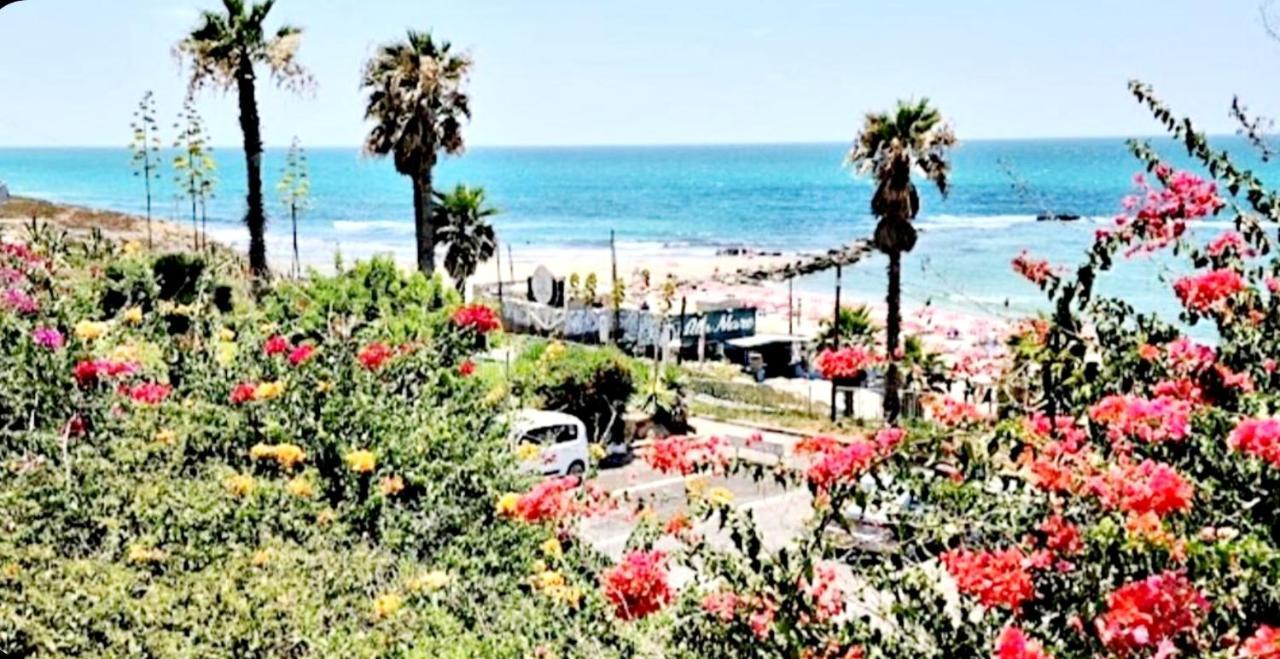 7 Hotel Apartment Short Time Tlv Bat Yam Dış mekan fotoğraf