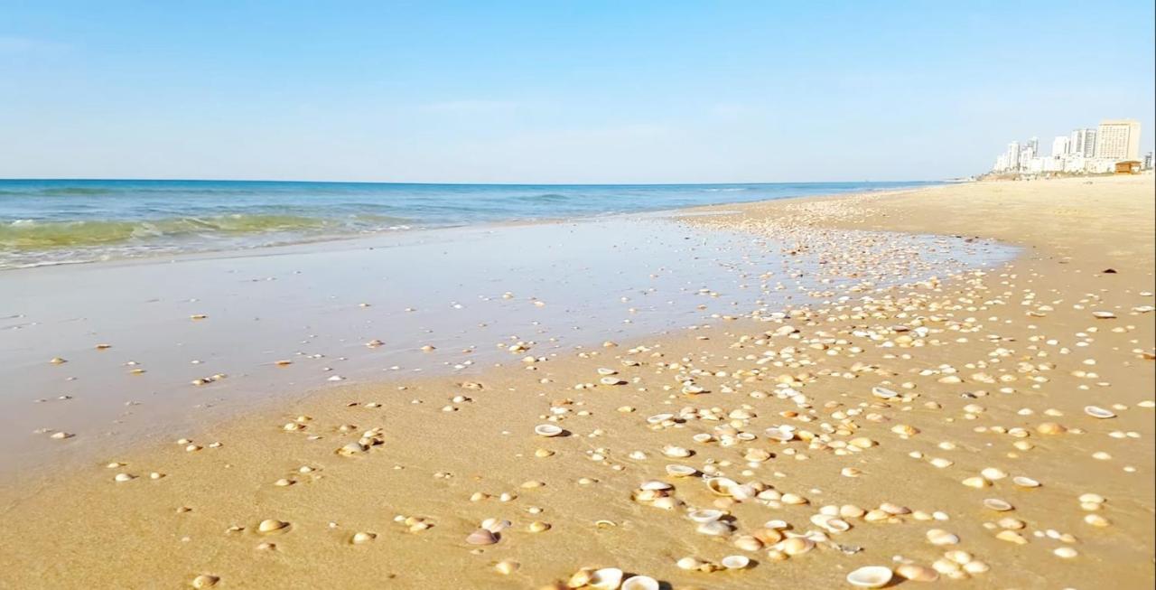 7 Hotel Apartment Short Time Tlv Bat Yam Dış mekan fotoğraf